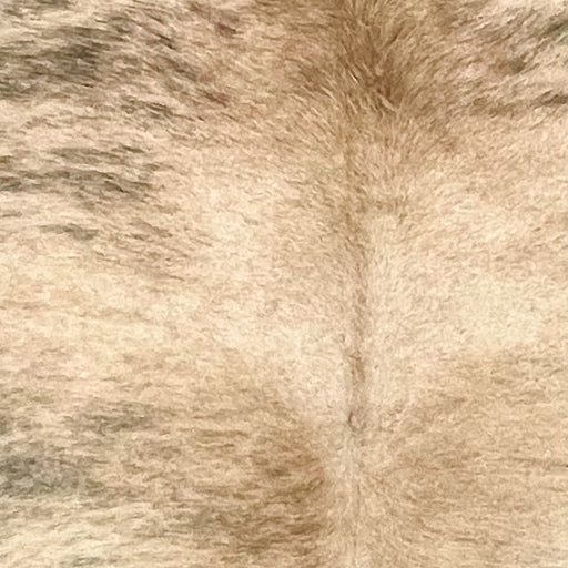 Closeup of this Brazilian Brindle Cowhide, showing light brown with black, brindle markings (BRBR1577)