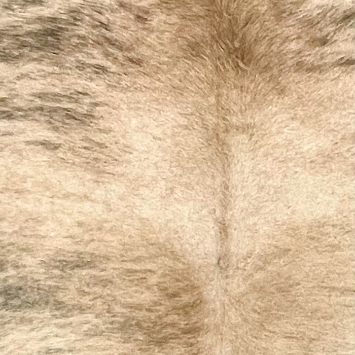Closeup of this Brazilian Brindle Cowhide, showing light brown with black, brindle markings (BRBR1577)