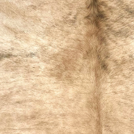 Closeup of this Large Brazilian Brindle Cowhide, showing light brown with black, brindle markings (BRBR1578)