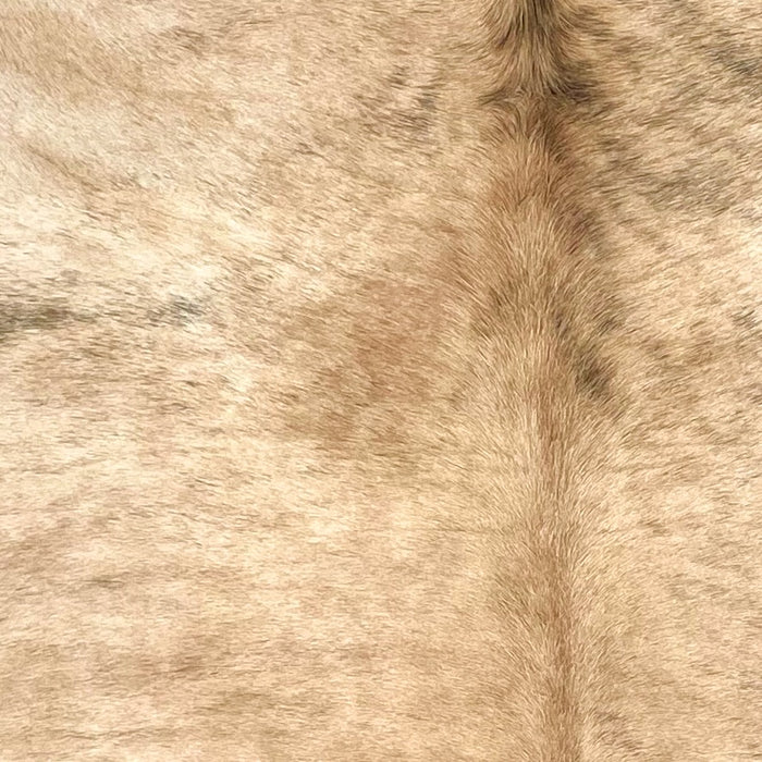 Closeup of this Large Brazilian Brindle Cowhide, showing light brown with black, brindle markings (BRBR1578)