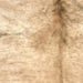 Closeup of this Large Brazilian Brindle Cowhide, showing light brown with black, brindle markings (BRBR1578)