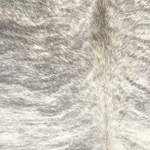 Closeup of this XL Brazilian Brindle Cowhide, showing ivory with gray, brindle markings (BRBR1579)