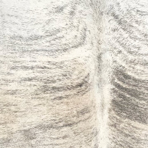 Closeup of this Brazilian Brindle Cowhide, showing white and light beige with black and gray, brindle markings (BRBR1580)