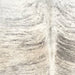 Closeup of this Brazilian Brindle Cowhide, showing white and light beige with black and gray, brindle markings (BRBR1580)