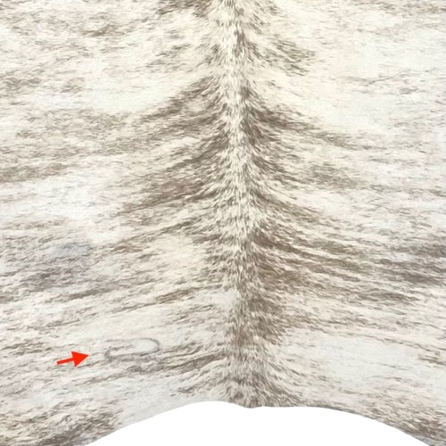 Closeup of this Large Ivory and Taupe Brazilian Brindle Cowhide, showing one brand mark on the left side of the butt  (BRBR1582)