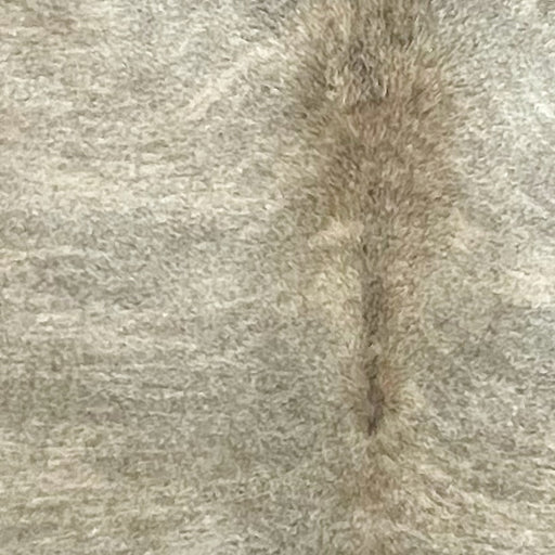 Closeup of this Brazilian Brindle Cowhide, showing off-white and light beige with gray, brindle markings (BRBR1586)