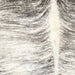Closeup of this Large Brazilian Brindle Cowhide, showing  ivory with black and gray, brindle markings (BRBR1587)