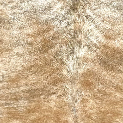 Closeup of this Brazilian Brindle Cowhide, showing light reddish brown and ivory with gray, brindle markings (BRBR1588)