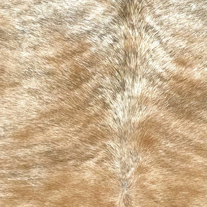 Closeup of this Brazilian Brindle Cowhide, showing light reddish brown and ivory with gray, brindle markings (BRBR1588)