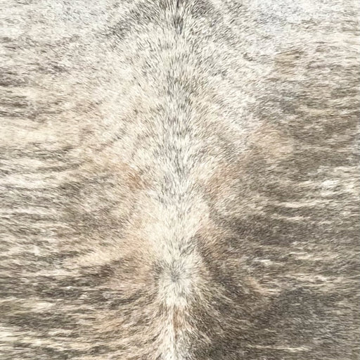 Closeup of this Large Brazilian Brindle Cowhide showing white and light beige with dark gray, brindle markings  (BRBR1589)