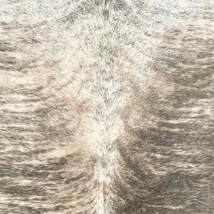Closeup of this Large Brazilian Brindle Cowhide showing white and light beige with dark gray, brindle markings  (BRBR1589)