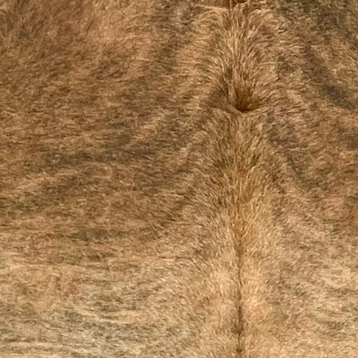 Closeup of this extra-extra-large Brazilian Brindle Cowhide, showing reddish brown with black, brindle markings (BRBR1590)