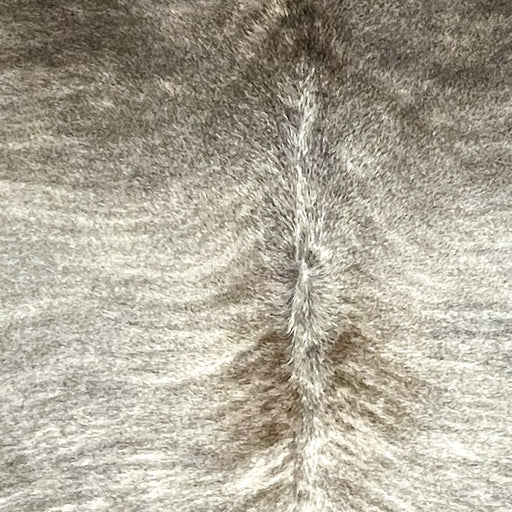 Closeup of this Large Brazilian Brindle Cowhide, showing gray with white brindle markings, dark gray on the shoulder, and a splash of dark brown along the spine (BRBR1594)