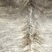 Closeup of this Large Brazilian Brindle Cowhide, showing gray with white brindle markings, dark gray on the shoulder, and a splash of dark brown along the spine (BRBR1594)