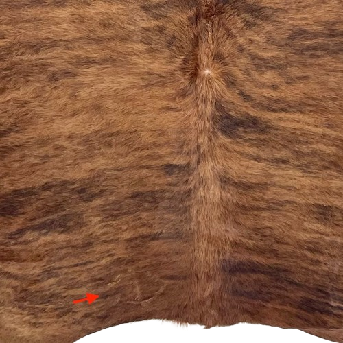 Closeup of this Brown and Black Brazilian Brindle Cowhide, showing one brand mark on the left side of the butt (BRBR1630)
