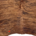 Closeup of this Brown and Black Brazilian Brindle Cowhide, showing one brand mark on the left side of the butt (BRBR1630)