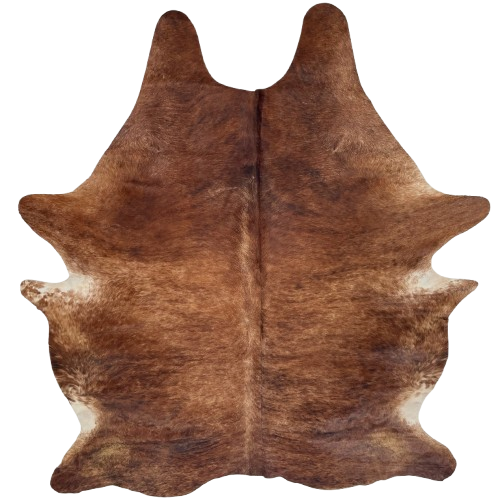 Large Reddish Brown and Black Brazilian Brindle Cowhide: reddish brown with black, brindle markings, and fine, white speckles down the spine - 7'6" x 5'9" (BRBR1632)
