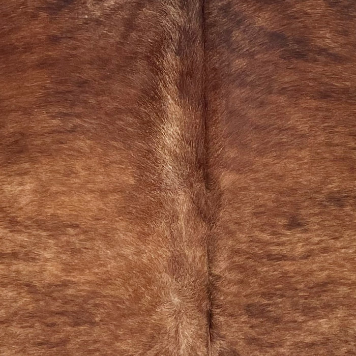 Closeup of this Large Brazilian Brindle Cowhide, showing reddish brown with black, brindle markings, and fine, white speckles down the spine (BRBR1632)