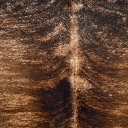 Closeup of this Brazilian Brindle Cowhide, showing tan with reddish brown and blackish brown, brindle markings  (BRBR1634)