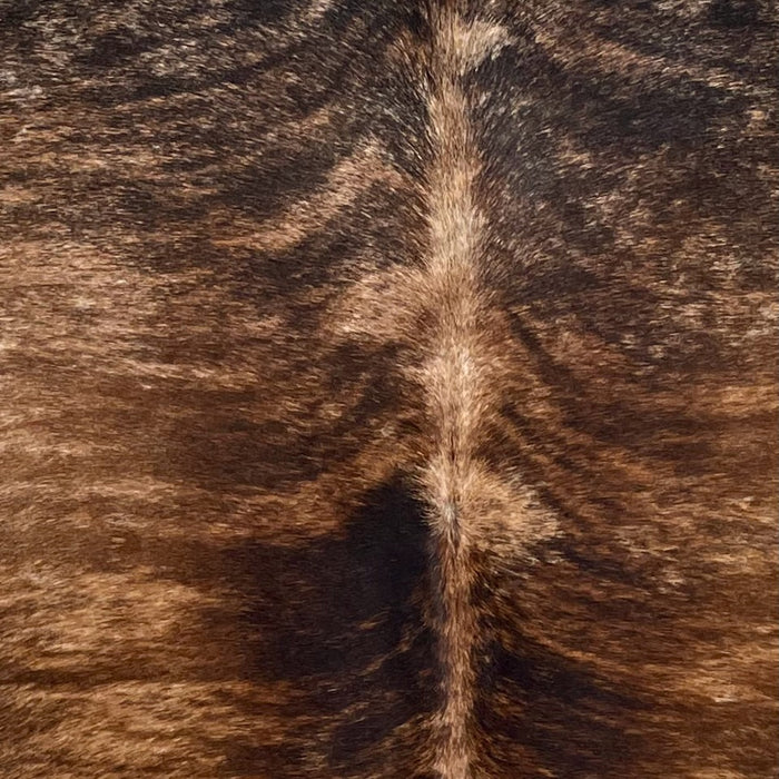 Closeup of this Brazilian Brindle Cowhide, showing tan with reddish brown and blackish brown, brindle markings  (BRBR1634)