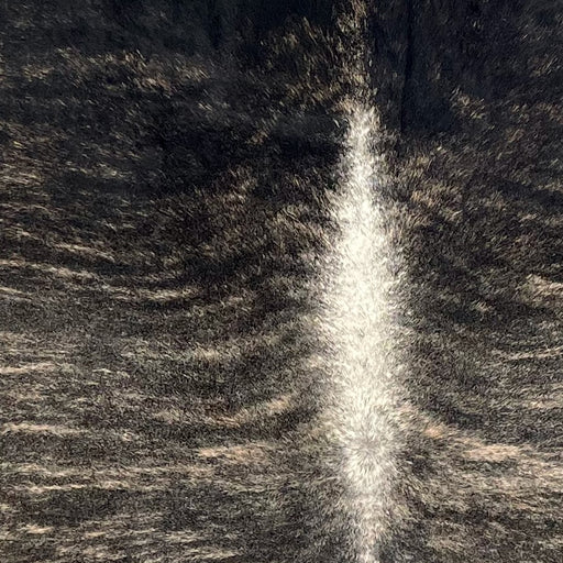 Closeup of this Brazilian Brindle Cowhide, showing black with light brown, brindle markings, and white down part of the spine (BRBR1636)