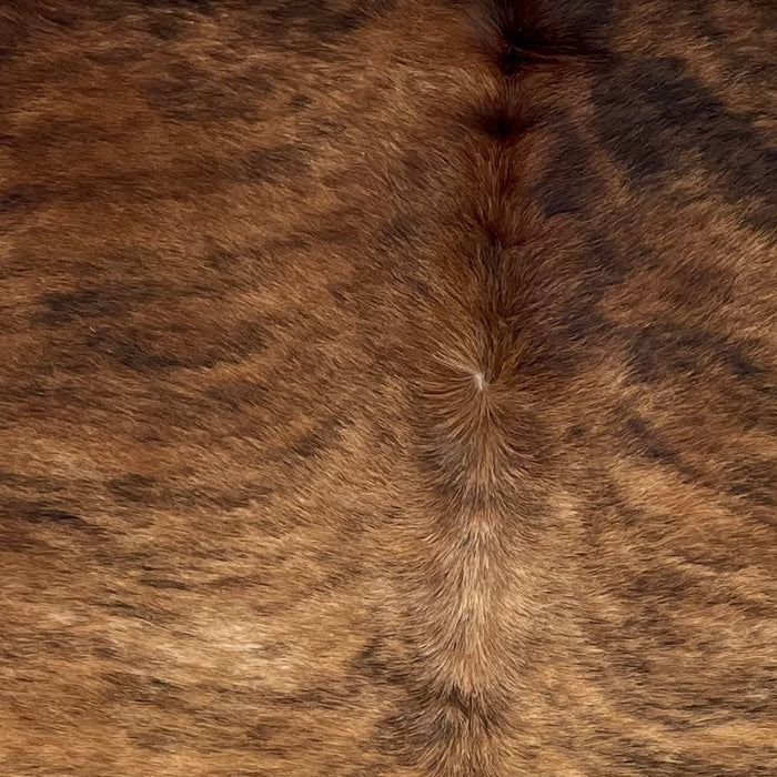 Closeup of this Brazilian Brindle Cowhide, showing brown with black and brown, brindle markings (BRBR1639)