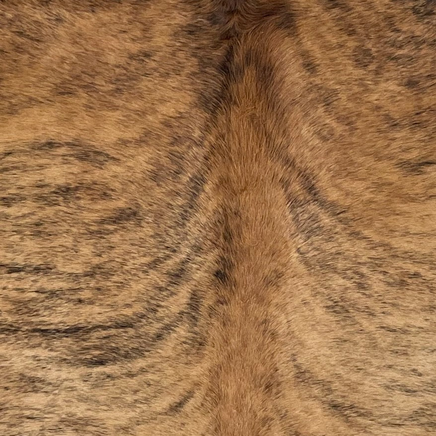 Closeup of this Brazilian Brindle Cowhide, showing brown with black, brindle markings (BRBR1640)