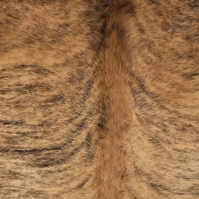 Closeup of this Brazilian Brindle Cowhide, showing brown with black, brindle markings (BRBR1640)
