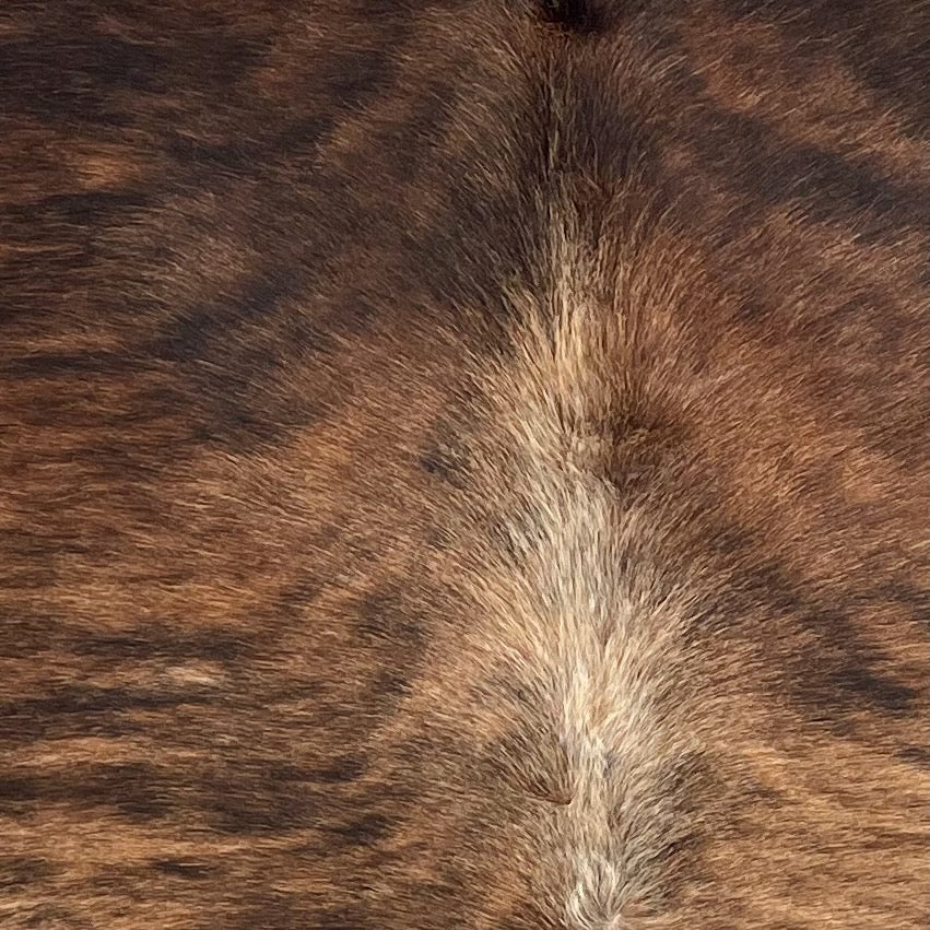 closeup of this Brazilian Brindle Cowhide, showing brown with black, brindle markings, and white down the spine  (BRBR1641)