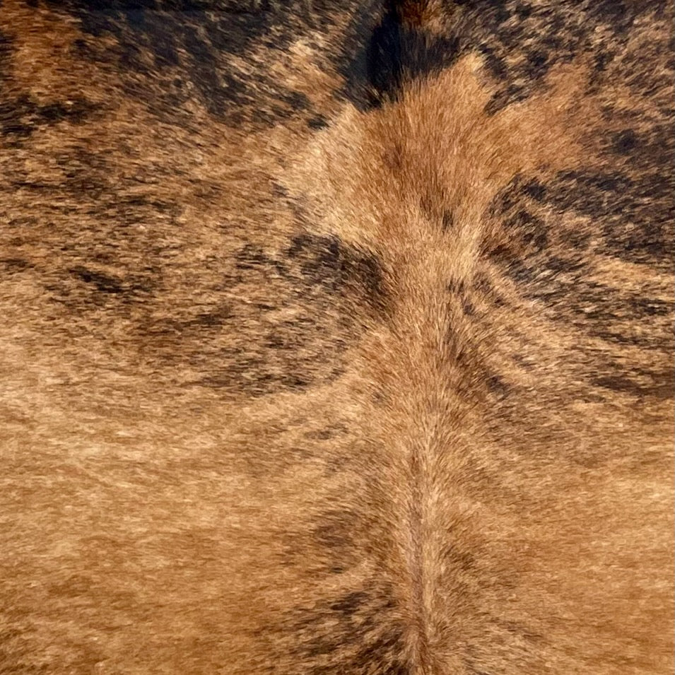 Closeup of this Spotted Brazilian Brindle Cowhide, showing reddish brown with black brindle markings, and black spots on the shoulder (BRBR1642)