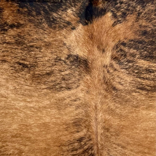 Closeup of this Spotted Brazilian Brindle Cowhide, showing reddish brown with black brindle markings, and black spots on the shoulder (BRBR1642)