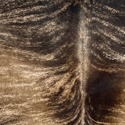 Closeup of this Brazilian Brindle Cowhide, showing ivory with brown, dark brown, and black, brindle markings (BRBR1645)