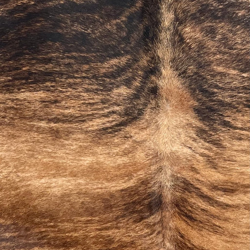 Closeup of this Large Brazilian Brindle Cowhide, showing tan with reddish brown and black, brindle markings (BRBR1646)