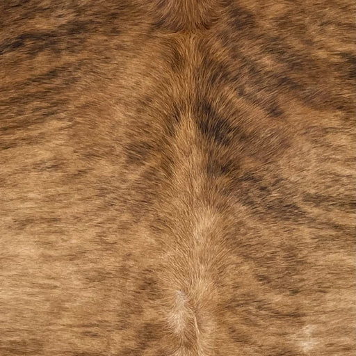 Closeup of this Large  Brazilian Brindle Cowhide, showing light brown with black and darker brown, brindle markings  (BRBR1647)