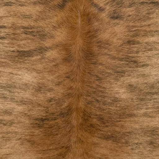 Closeup of this Brazilian Brindle Cowhide, showing light brown with black, brindle markings, and reddish brown down the spine (BRBR1648)