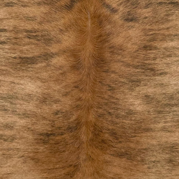 Closeup of this Brazilian Brindle Cowhide, showing light brown with black, brindle markings, and reddish brown down the spine (BRBR1648)