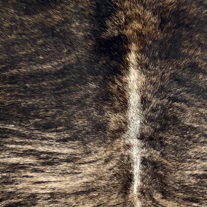Closeup of this Large Brazilian Brindle Cowhide, showing light tan and brown with black, brindle markings, and white down the spine (BRBR1649)