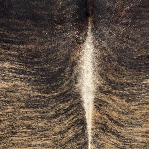 Closeup of this Brazilian Brindle Cowhide, showing tan and brown with black, brindle markings, and off-white down the spine  (BRBR1650)