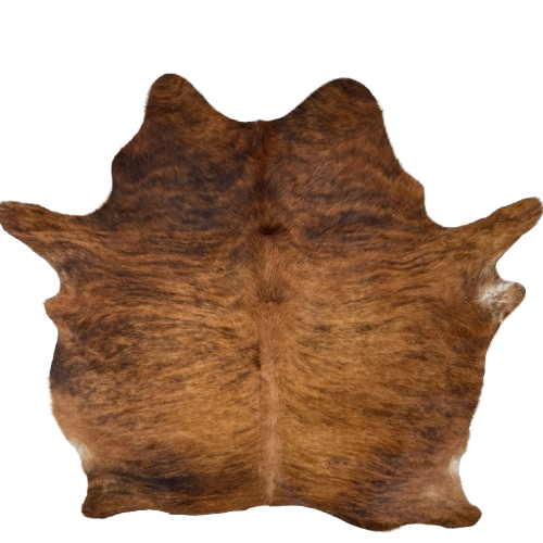Reddish Brown and Black Brazilian Brindle Cowhide: reddish brown with a black, brindle pattern, and long hair down the spine and on the belly - 7'3" x 5'11" (BRBR1655)