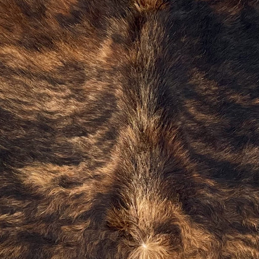 Closeup of this Brazilian Brindle Cowhide, showing long hair that is black with brown, brindle markings (BRBR1656)