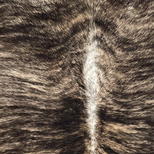 Closeup of this Brazilian Brindle Cowhide, showing brown and tan with black, brindle markings, and white down the spine  (BRBR1657)