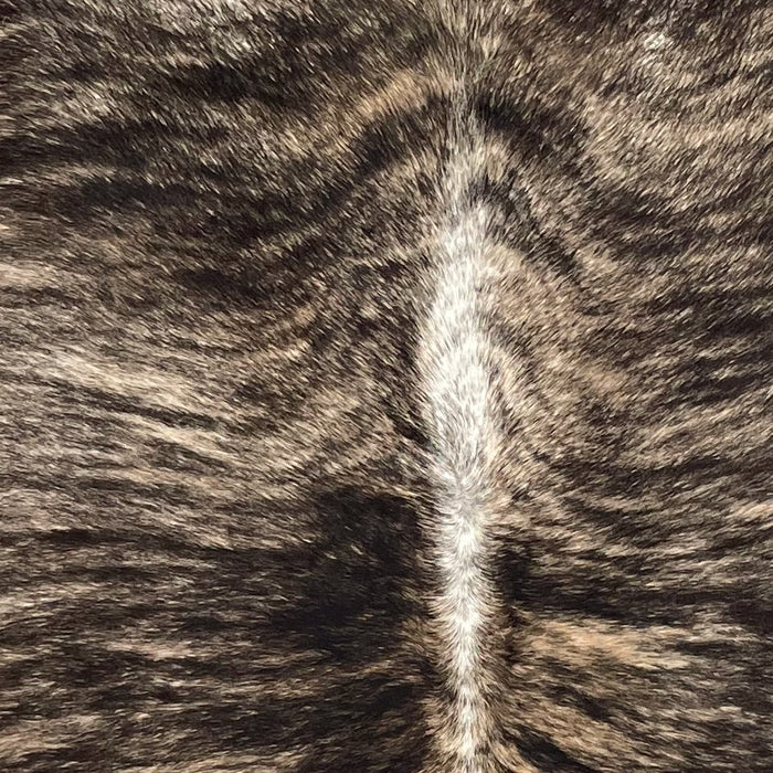 Closeup of this Brazilian Brindle Cowhide, showing brown and tan with black, brindle markings, and white down the spine  (BRBR1657)