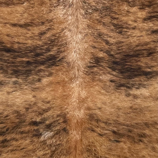 Closeup of this Brazilian Brindle Cowhide, showing brown with black, brindle markings  (BRBR1659)