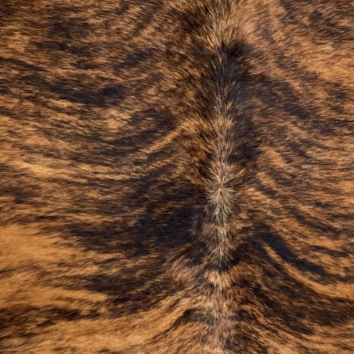 Closeup of this Large Brazilian Brindle Cowhide, showing  reddish brown with black, brindle markings (BRBR1661)
