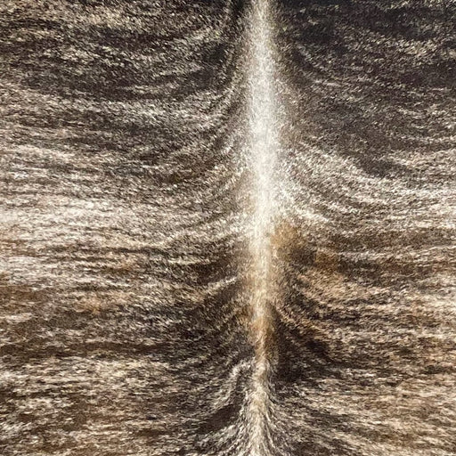 Closeup of this Brazilian Brindle Cowhide, showing ivory and brown with a black and brown, brindle pattern, and ivory down the spine (BRBR1662)