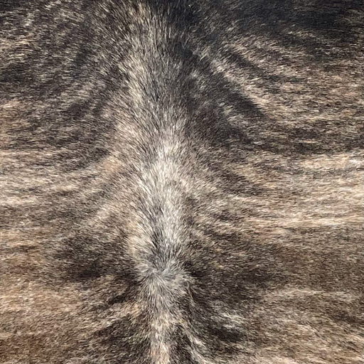Closeup of this Brazilian Brindle Cowhide, showing brown and black with ivory, brindle markings (BRBR1664)