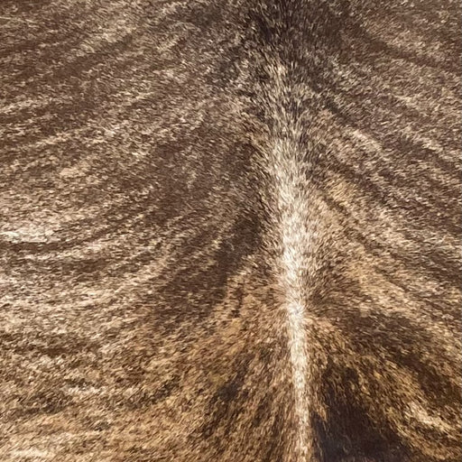 Closeup of this Brazilian Brindle Cowhide, showing light brown and ivory with darker brown, brindle markings (BRBR1665)