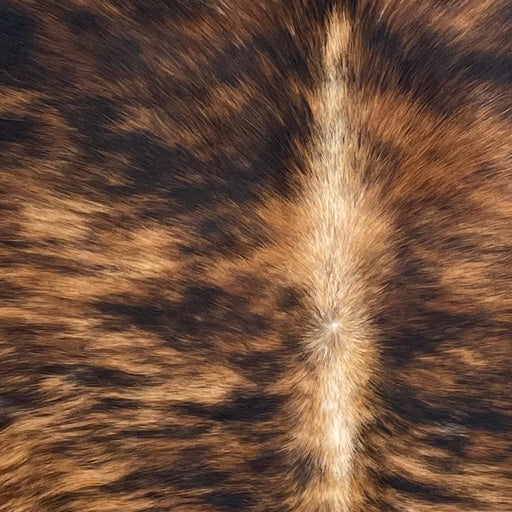Closeup of this Brazilian Brindle Cowhide, showing brown with black, brindle markings, and white down part of the spine (BRBR1667)