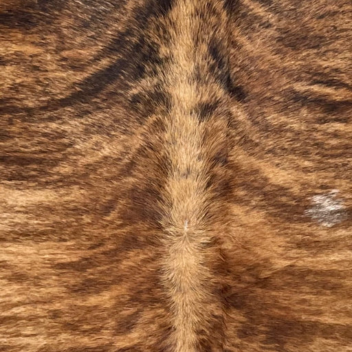 Closeup of this Large Brazilian Brindle Cowhide, showing light brown with reddish brown and black, brindle markings, and light brown down the spine  (BRBR1668)