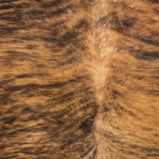 Closeup of this Brazilian Brindle Cowhide, showing brown with black, brindle markings (BRBR1670)